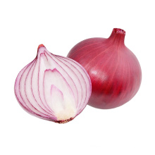 2021 wholesale new harvest fresh red and yellow onion